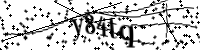 Please type the letters below