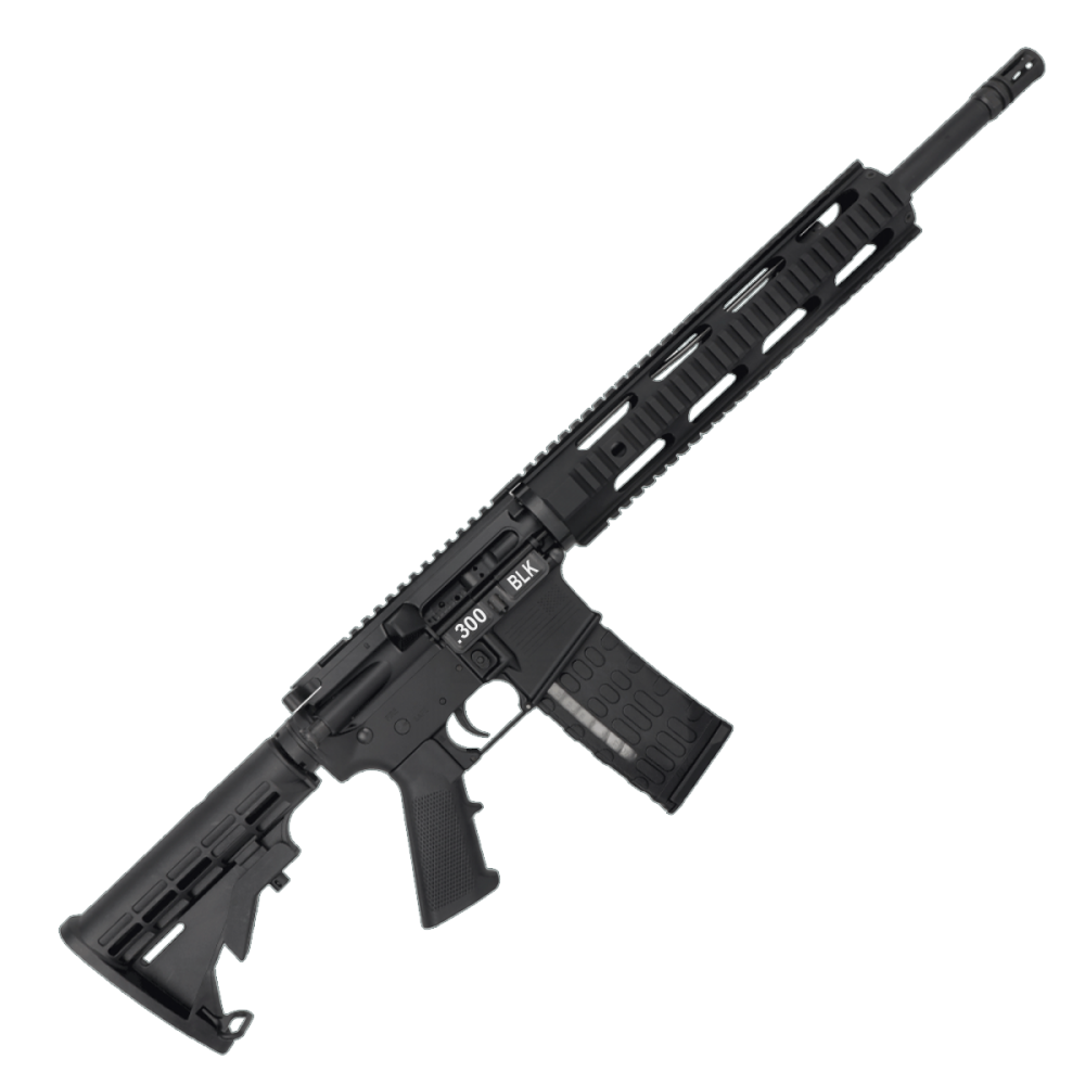 AR-15 Semi Auto .300 AAC Blackout Rifle