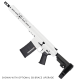 AR LR-308 Custom Semi Auto Pistol 12