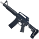 AR-15 Two-Tone A2 Style Semi Auto 5.56 NATO Pistol 10